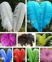OSTRICH PLUMES 18"-23" FEATHERS Top Quality Many Colors Bridal Costume Halloween