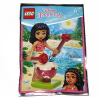 在飛比找蝦皮購物優惠-玩樂趣 LEGO樂高 302007 Vaiana 鋁箔包