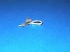 NEW STERLING SILVER NAUTICAL WHALE TALE PENDANT MARINE SEALIFE FISH JEWELRY