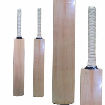 Kashimir Willow wodden plain Cricket Bat + Hard Tennis Ball+Bat Cover CCB19