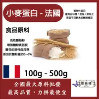 在飛比找蝦皮購物優惠-雅絲娜 小麥蛋白粉-法國 100g 500g 食品原料 小麥