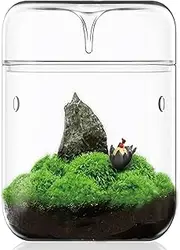 SARUFO Small Glass Plant Terrarium 4.7"X7" Inches Succulent Air Planter Fern Moss Micro-Landscape Vase for Home Garden Office Tabletop Decoration Container with Lid Indoor Wardian Copyright Patent
