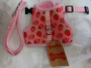 NWT Medium BINGPET Escape Proof Cat Kitten Small Dog Harness and Lead Set