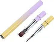 Ipetboom Dual Ended Nail Art Brush with Gradient Plaid Design Precision Liner for Intricate Pigment Application Durable Versatile Nail Brush for Professional Nail Art