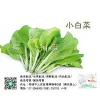 在飛比找蝦皮購物優惠-嚴選小白菜 250g±10% 新鮮美味 產地直送  #大高雄