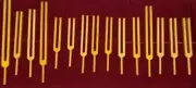 Human Organ Gold Unweighted 15 Set Tuning Forks with Mallet and Velvet Bag