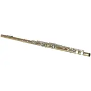 100% New 16 hole flute gold and silver key flute with storage box instrument