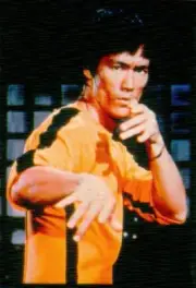 240ct Max Protection Small Deck Shuffle-Tech Sleeves YuGiOh! Size - BRUCE LEE
