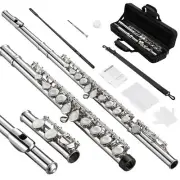 Flutes, Closed Hole C 16 Keys Flute Instrument, Student Flute for Beginner Ad...