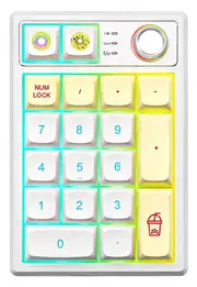 YUNZII YZ19 RGB Wireless Mechanical Macaron Knob Numeric Keypad - Gateron Brown Switch [KBYZYZ19MCBW]