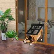 Locking Dog Cat Pet Screen Door Net Mesh Patio Window Security Screen Cottage