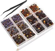 KALLORY 1 Set Flat Back Gems Rhinestones Nail Art Charms with Picking Tweezer for Clothing Crafts Bags and DIY Projects Versatile Decoration Accessories with Compartment Storage Box