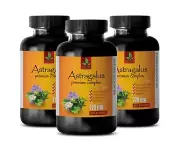 memory vitamins - ASTRAGALUS COMPLEX 770MG - holy basil plant 3 Bottles