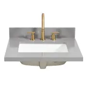 Miseno MVT-JAEN25 Jaen 25" Stone Vanity Top - Reticulated Grey