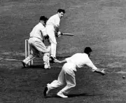 Neil Harvey Of Australia Batting As Wicket Keeper Godfrey 1953 OLD CRICKET PHOTO