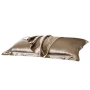 1 Pair Satin Pillowcase Standard Set for Hair and Skin-Gold