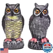 Qzzsmy 2 Packs Fake Plastic Owl Statue, Multicolor Garden Owl Statue, Small D