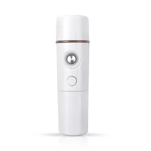 Portable Humidifier Mini Nano Facial Mist Sprayer Moisturizi