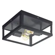Eglo Alamonte 1 Black Metal Frame Outdoor Undercover Ceiling Light