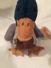 Jake the Duck, Ty Beanie Baby, 1997 Wing, 1998 tush.
