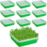 10 Pack Seed Sprouter Tray with Drain Holes - Nursery Tray Seed Germination P...