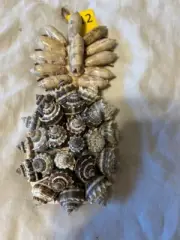 Seashell Pineapple adorned with King Crown Shells and Olive Shells. 10 1/2"x8"
