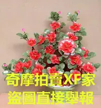 在飛比找Yahoo!奇摩拍賣優惠-天然玉器18朵牡丹花盆栽家居飾品客廳茶幾擺件創意盆景工藝品玉