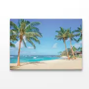 Palm Trees on The Sandy Beach in Hawaii Print 100% Australian Made 150 x 100cm (Acrylic)