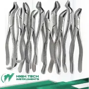 10 German Stainless Extracting Forceps Extraction Dental Instruments-A+ Quality