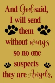 Reusable Stencil 10136 AK 12"x18" and God Said - Dog - Cat Angels Mylar Stencils