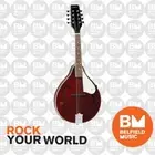 Tanglewood Union Mandolin Wine Red - Brand New - Belfield Music