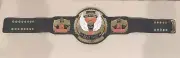 Bret The Hitman Hart Heavyweight Wrestling Championship Belt Adult Size WWE WCW