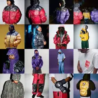 在飛比找Yahoo!奇摩拍賣優惠-Supreme x the north face 2023s