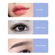 10pcs 12F Microblading Pen Home Salon Ergonomic Disposable Manual Eyebrow Ey CHW
