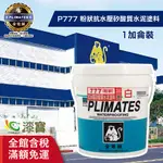 【金絲猴】粉狀抗水壓矽酸質水泥塗料 P-777－白色（1加侖裝）｜漆寶