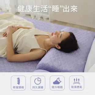 【1/3 A LIFE】親水涼感人體工學護頸型 60D記憶枕-2入-男女適用-三色布套