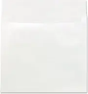 UNV19004 - Universal Tyvek Expansion Envelope