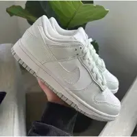 在飛比找蝦皮購物優惠-Nike Dunk Low Next Nature 薄荷綠 