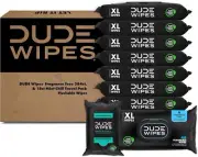 Wipes Flushable Wipes Unscented 8 Pack + Mint Travel Pack 402 Wipes Extra Large
