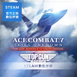 STEAM 啟動序號 PC 空戰奇兵7 未知天際 捍衛戰士獨行俠 豪華版 數位 支援中文