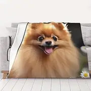 Pomeranian Dog Throw Blanket 60"X50" Soft Cozy Fleece Blanket Lightweight Warm Bed Blankets for Couch Sofa Bed Chair Home Decor All Seasons Blanket