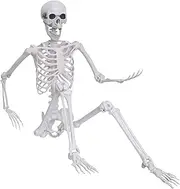 Halloween Skeleton Decor,5.4ft Life Size Skeleton Posable Skeleton with Artificial Pumpkin Full Body Human Skeleton for Halloween Decorations