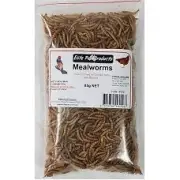 Dried Mealworm 85gm Treats for Chickens and other Poultry