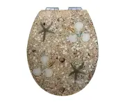 Beach Sand and Shell Clear Soft Close Toilet Seat