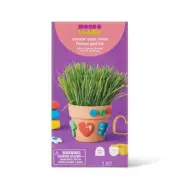 Create-Your-Own Flower Clay Pot Kit - 1 Mondo Llama