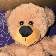 Teddy Bear Stuffed Plush Brown 12” Gift Soft