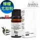 【 ANDZEN 】單方純精油10ml-檸檬尤加利 天然 草本