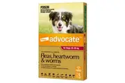 Advocate(TM) Fleas, Heartworm & Worms for Large Dogs 10 - 25kg - 6 Pack