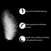 200Pcs White Turkey Feathers 4-6" Bulk Feathers For Crafts Dream Catchers Decor