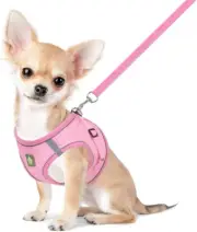 No Pull Dog Harness & Leash Set Mesh Harnesses Vest Reflective Small Dogs Cats